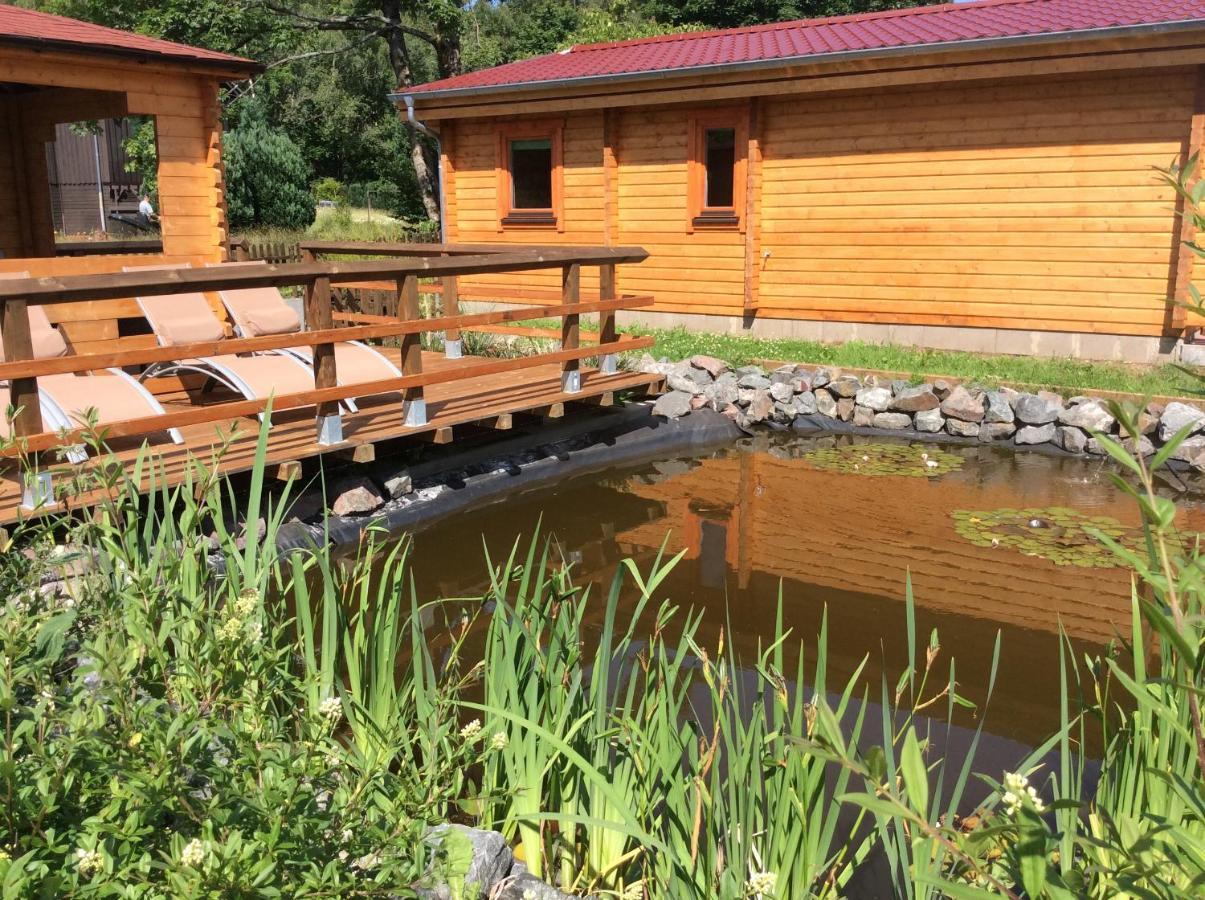 Blockhaus Harzblick Hohegeiß Exterior foto
